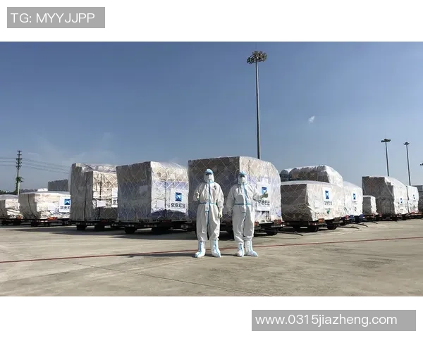 中欧数据流通沙盒zoty助力跨境数据合作与创新发展新机遇