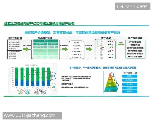 优化彩神Vll资源利用率的策略与实践探讨提升企业运营效率的关键路径